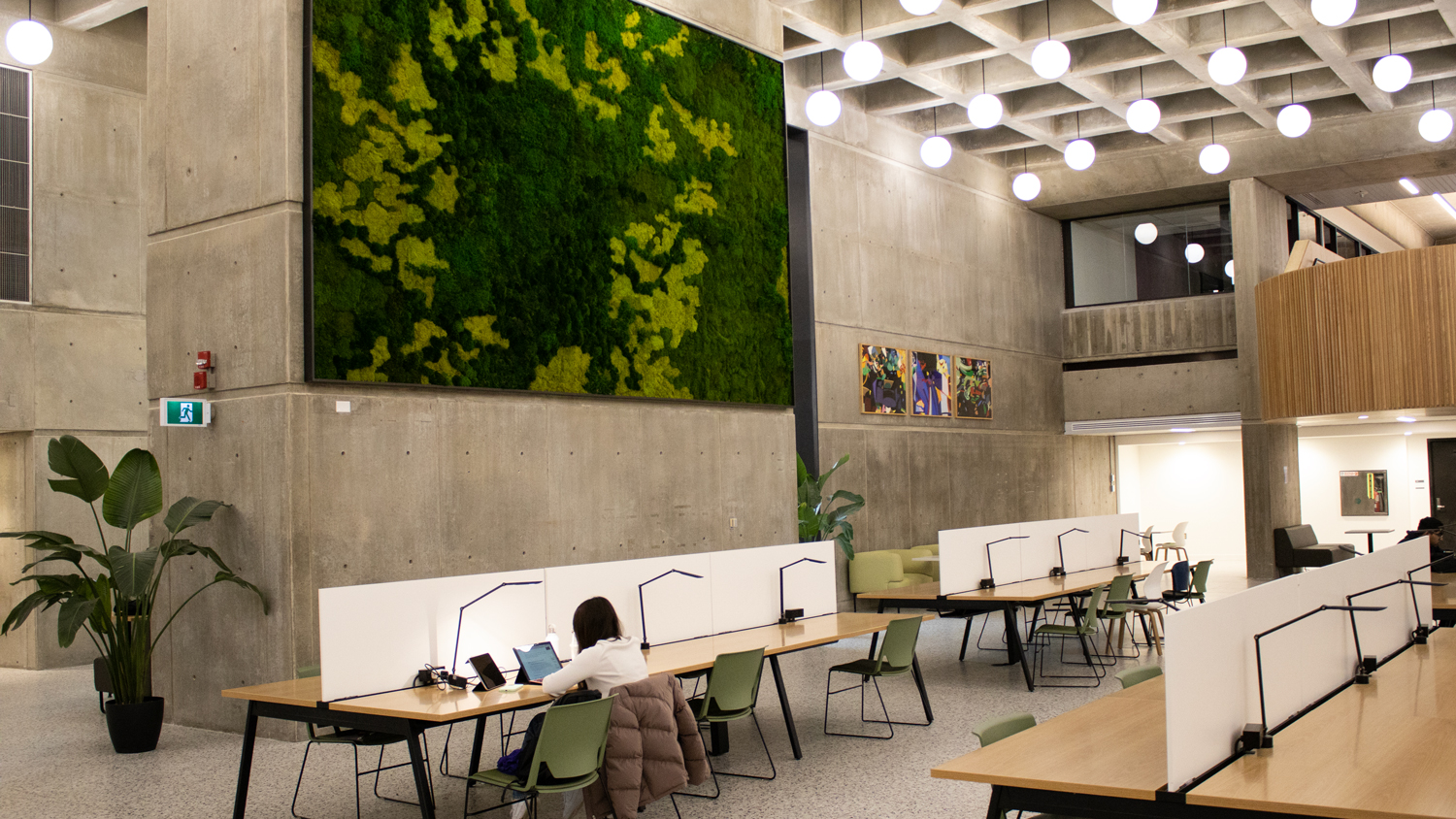 Photo of the moss wall in the Weldon Learning Commons.